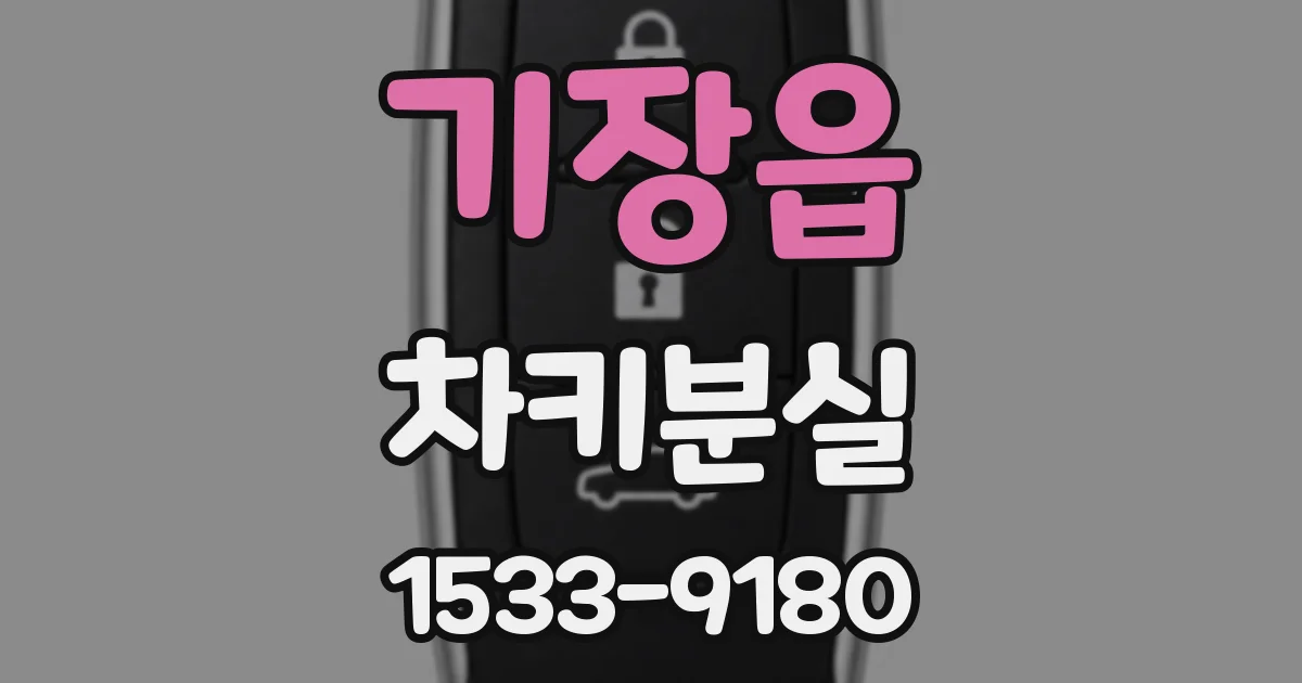 기장읍 차키분실