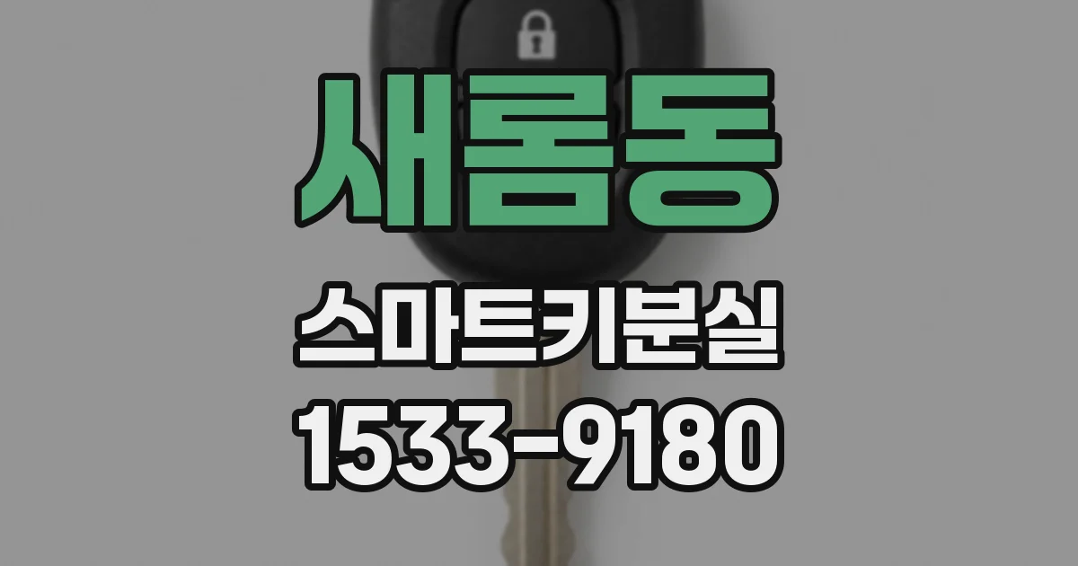 새롬동 스마트키분실