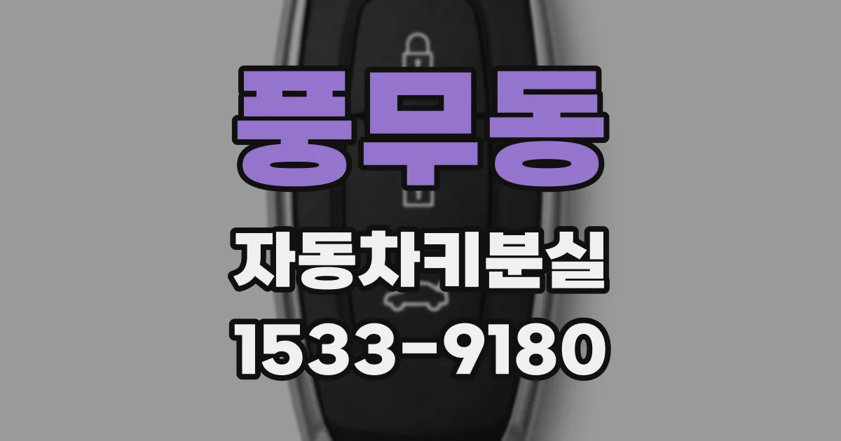 풍무동 자동차키분실