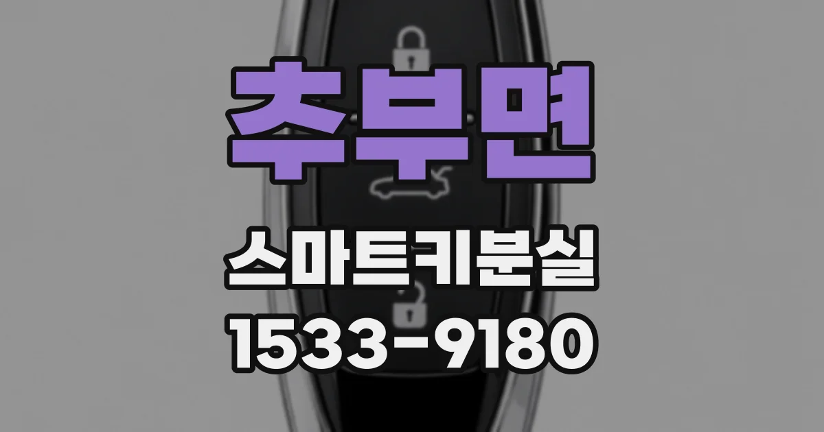 추부면 스마트키분실