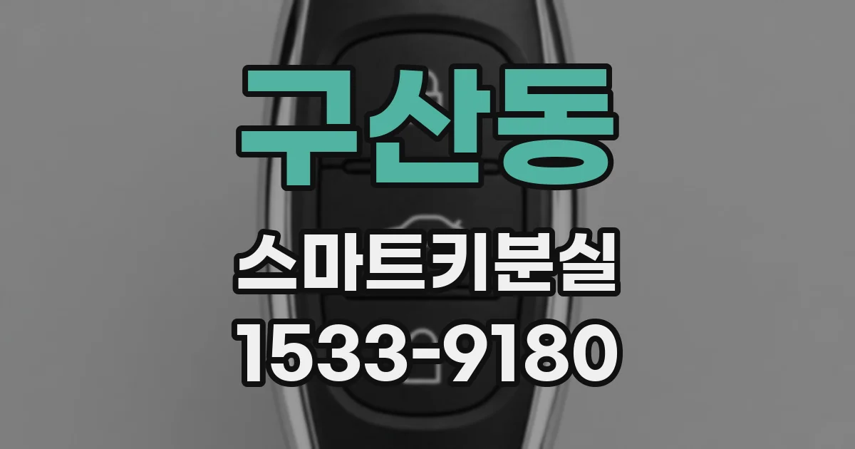 구산동 스마트키분실