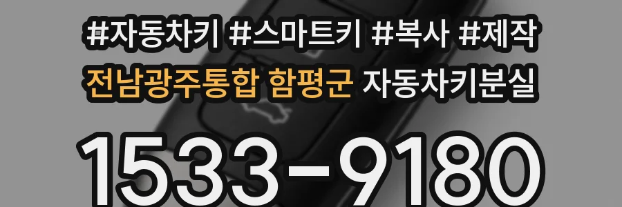 전남광주통합 함평군 자동차키분실