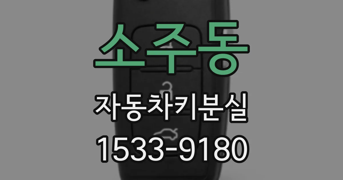 소주동 자동차키분실