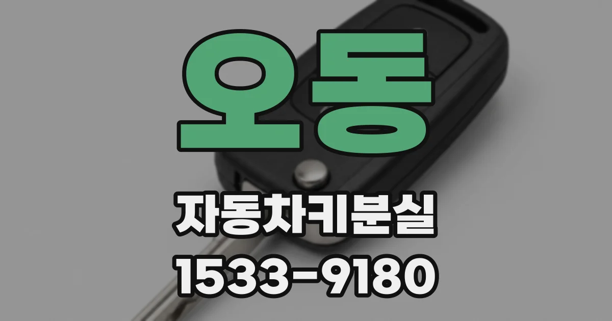 오동 자동차키분실