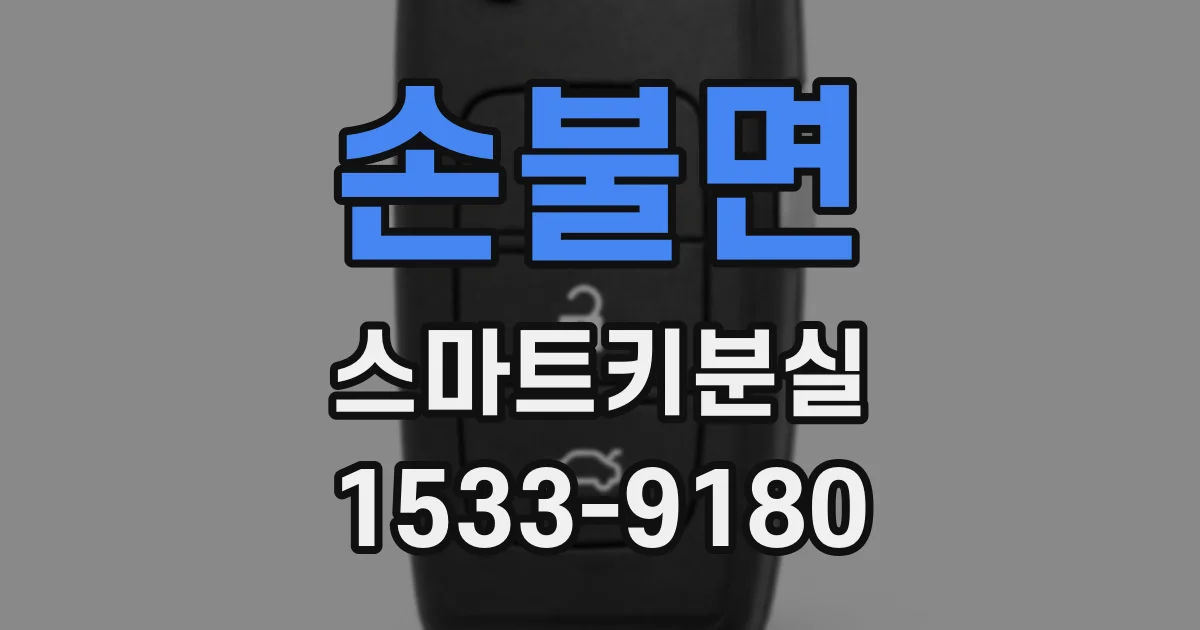 손불면 스마트키분실