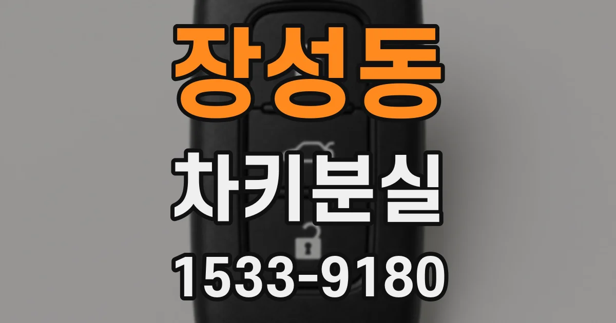 장성동 차키분실