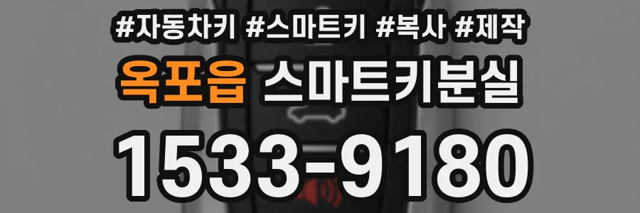옥포읍 스마트키분실