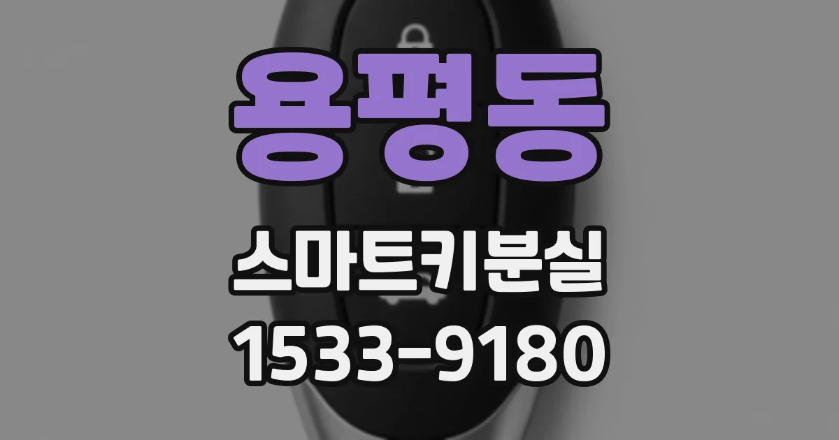 용평동 스마트키분실