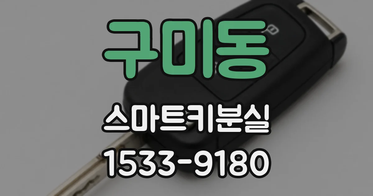 구미동 스마트키분실