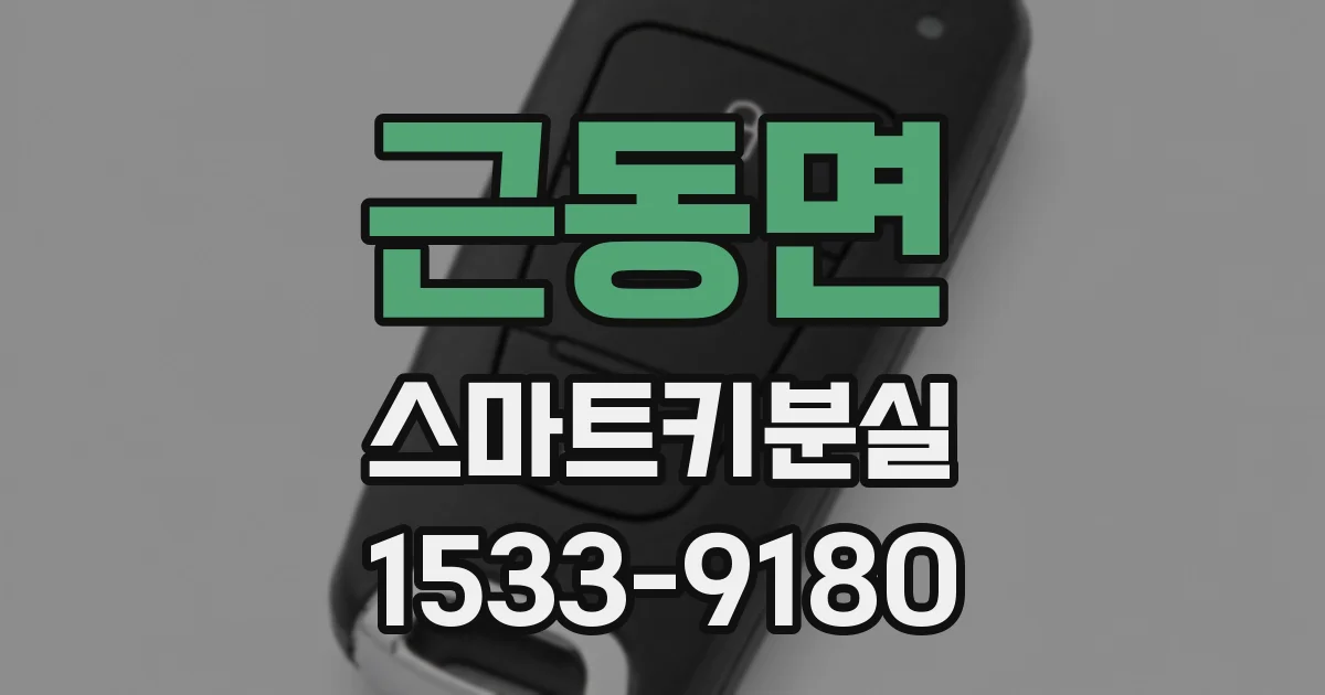근동면 스마트키분실
