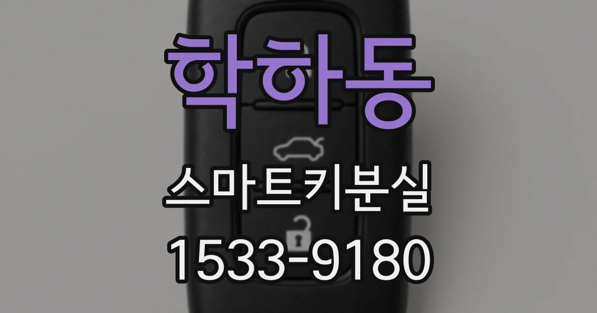 학하동 스마트키분실