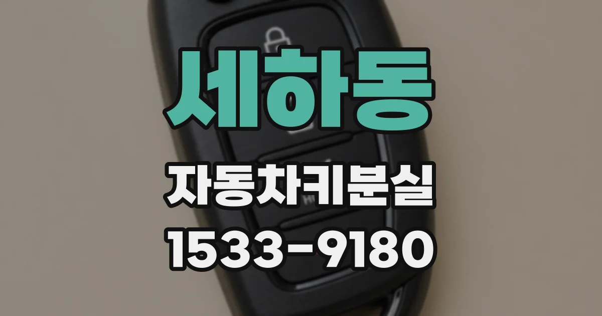 세하동 자동차키분실