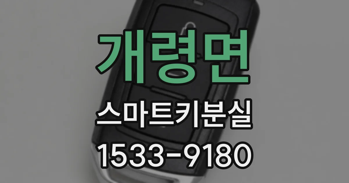 개령면 스마트키분실
