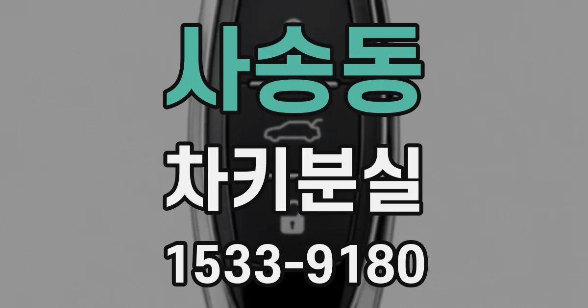 사송동 차키분실