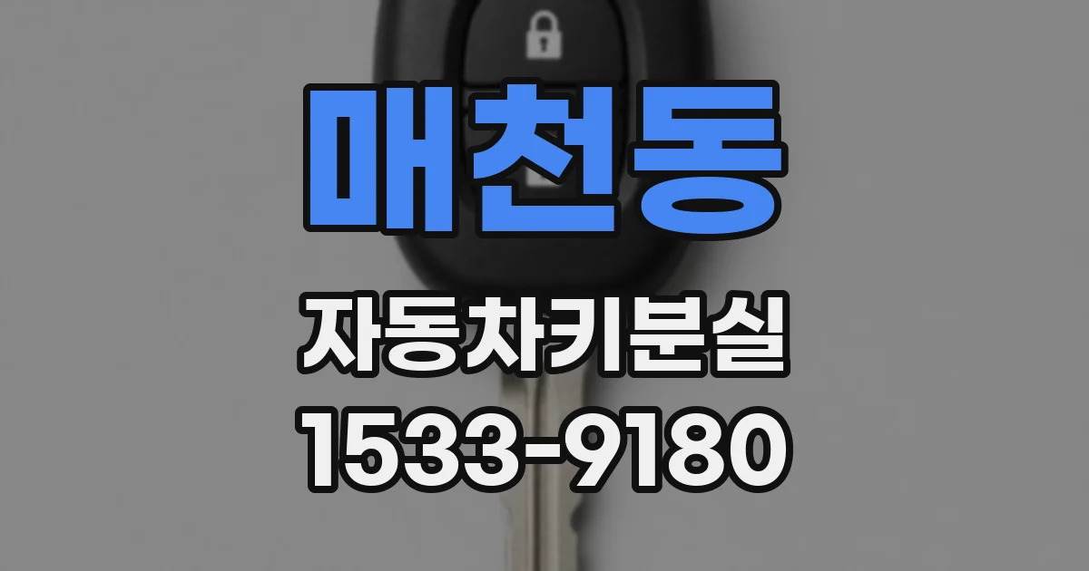 매천동 자동차키분실