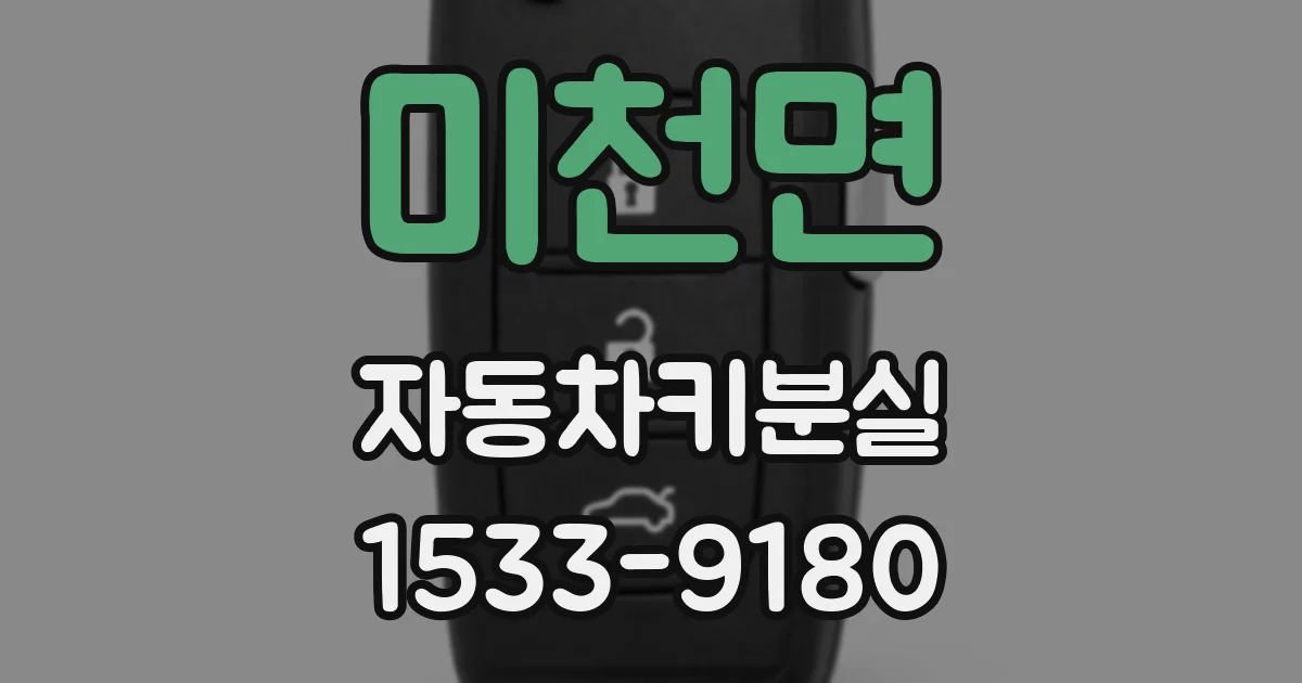 미천면 자동차키분실