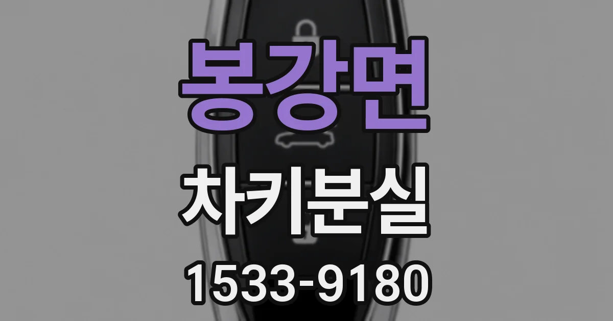 봉강면 차키분실