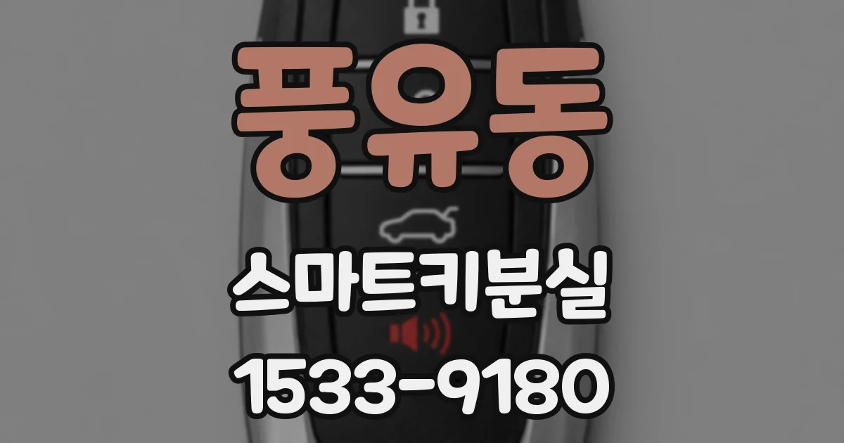 풍유동 스마트키분실