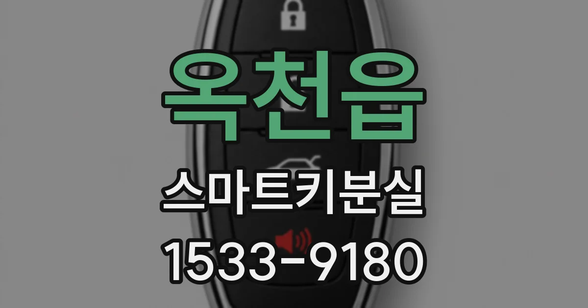 옥천읍 스마트키분실