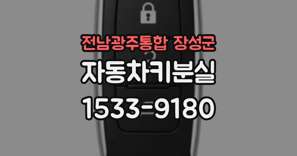 전남광주통합 장성군 자동차키분실