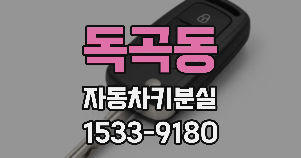 독곡동 자동차키분실