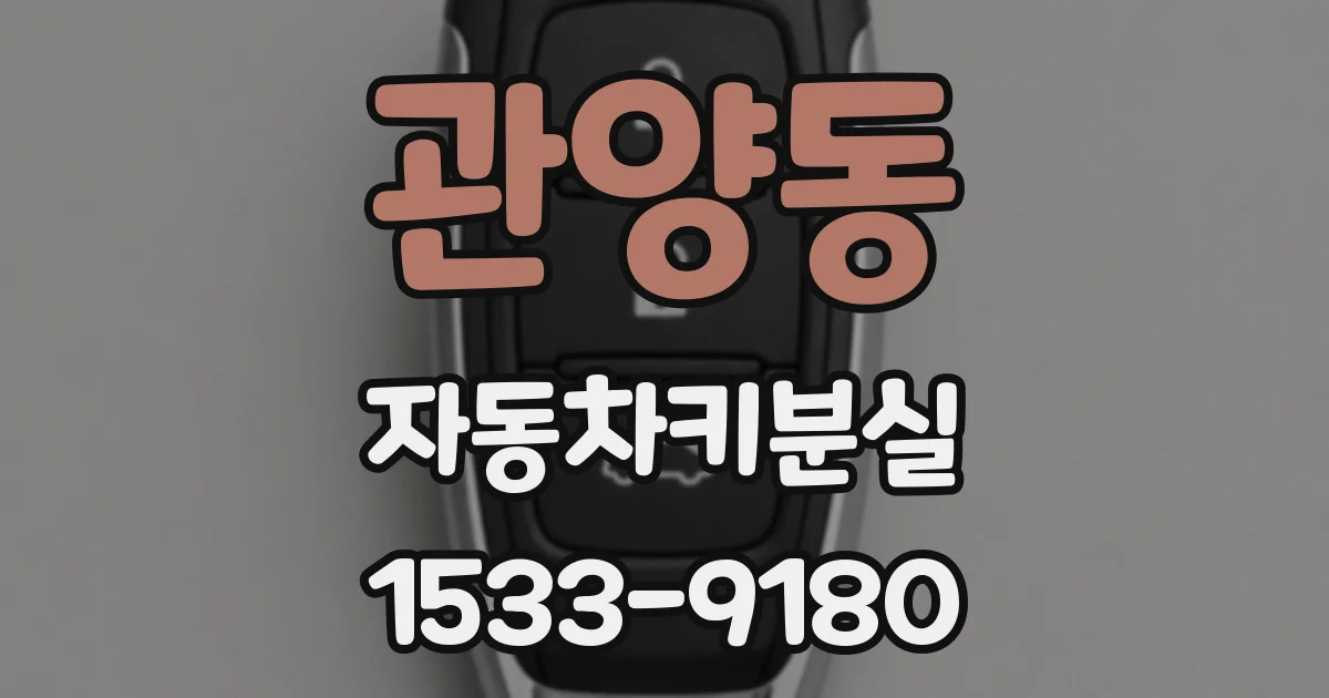 관양동 자동차키분실
