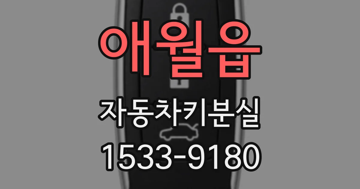 애월읍 자동차키분실