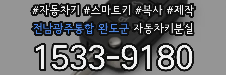 전남광주통합 완도군 자동차키분실