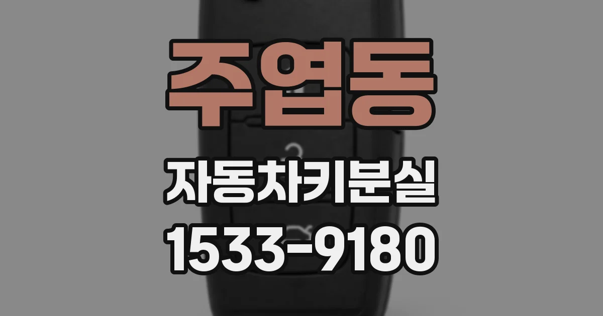 주엽동 자동차키분실