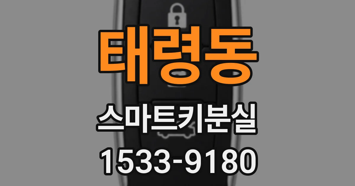태령동 스마트키분실
