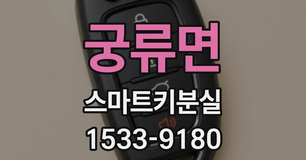 궁류면 스마트키분실