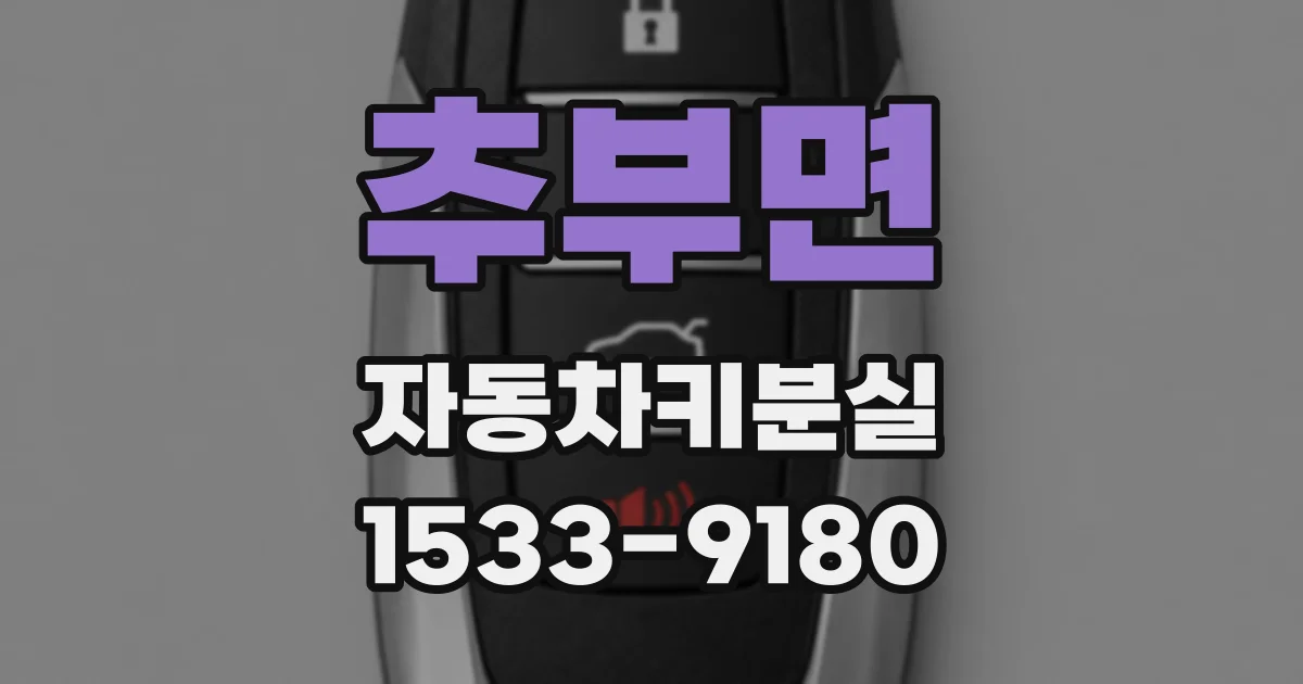 추부면 자동차키분실