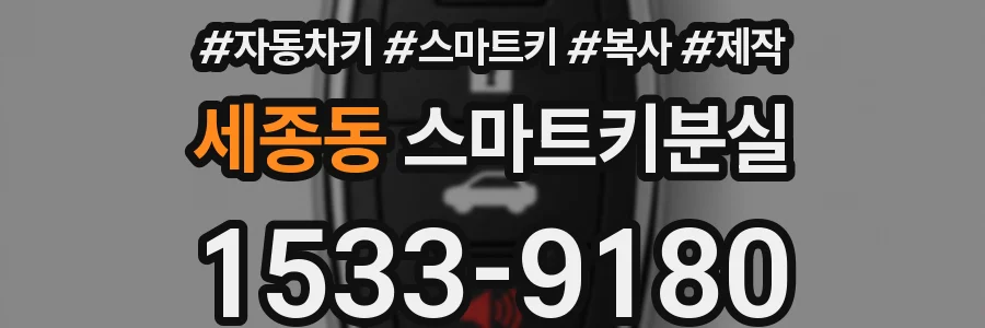 세종동 스마트키분실