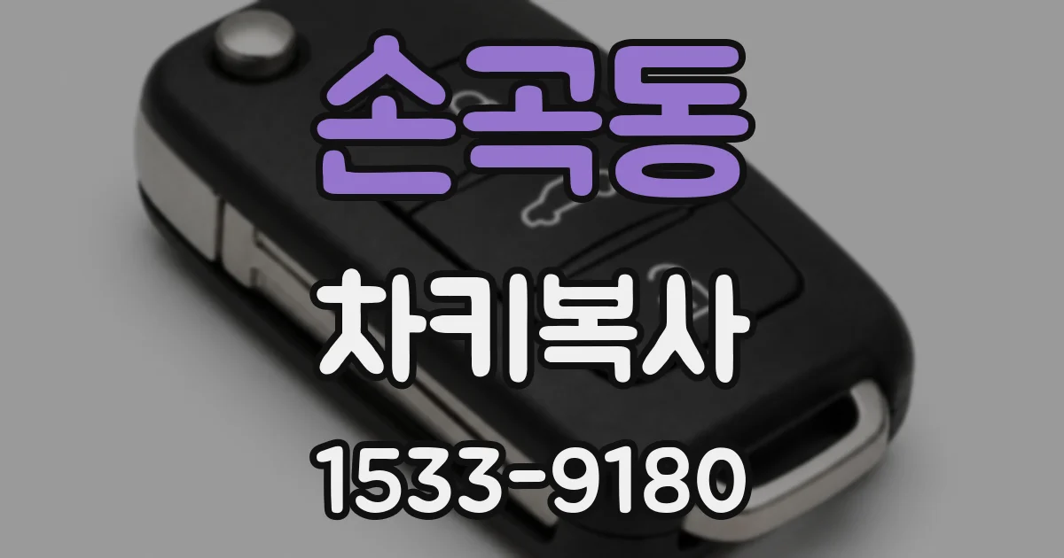 손곡동 차키복사