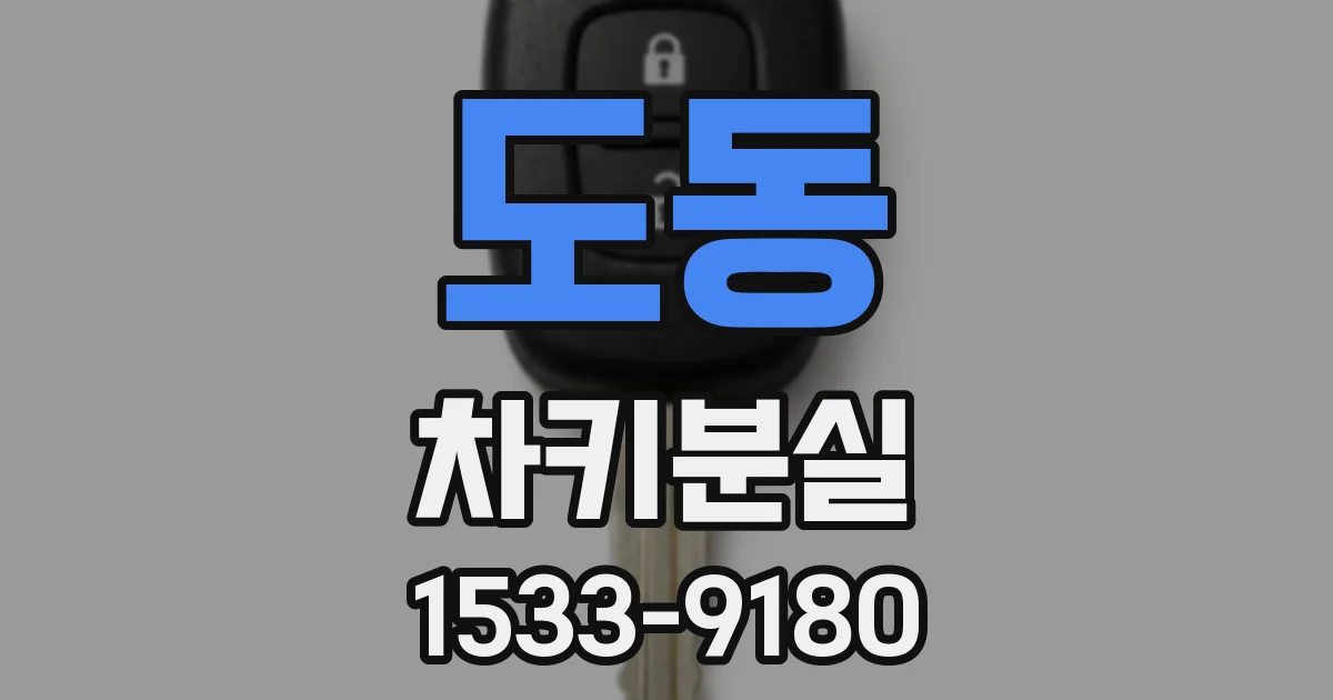 도동 차키분실