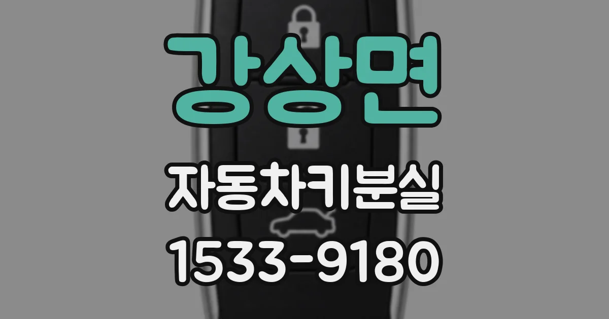 강상면 자동차키분실