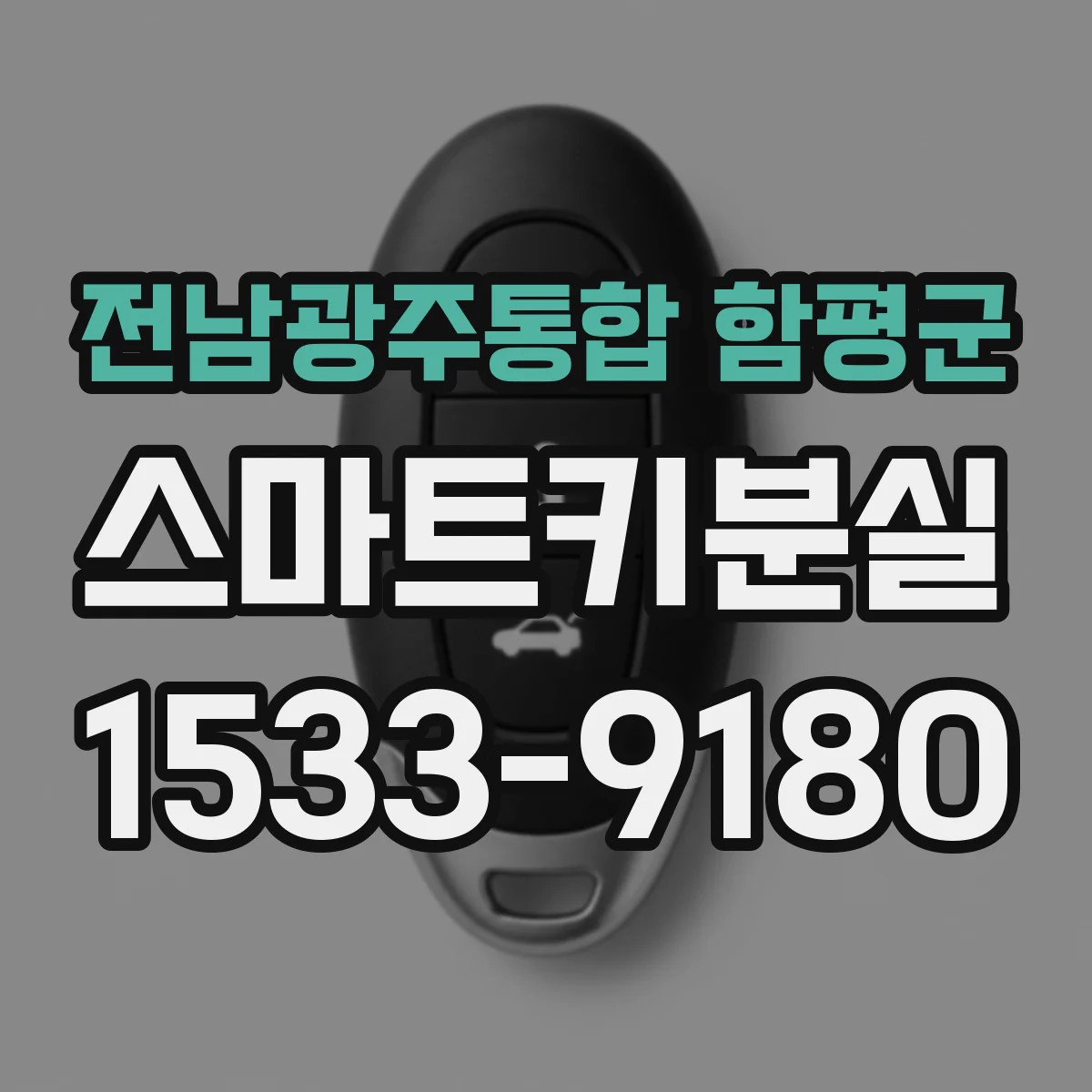 전남광주통합 함평군 스마트키분실