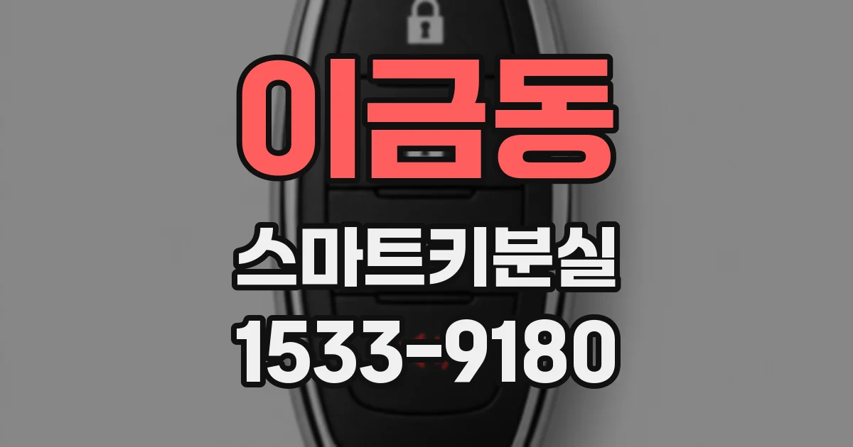 이금동 스마트키분실