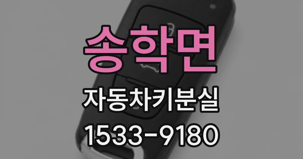 송학면 자동차키분실