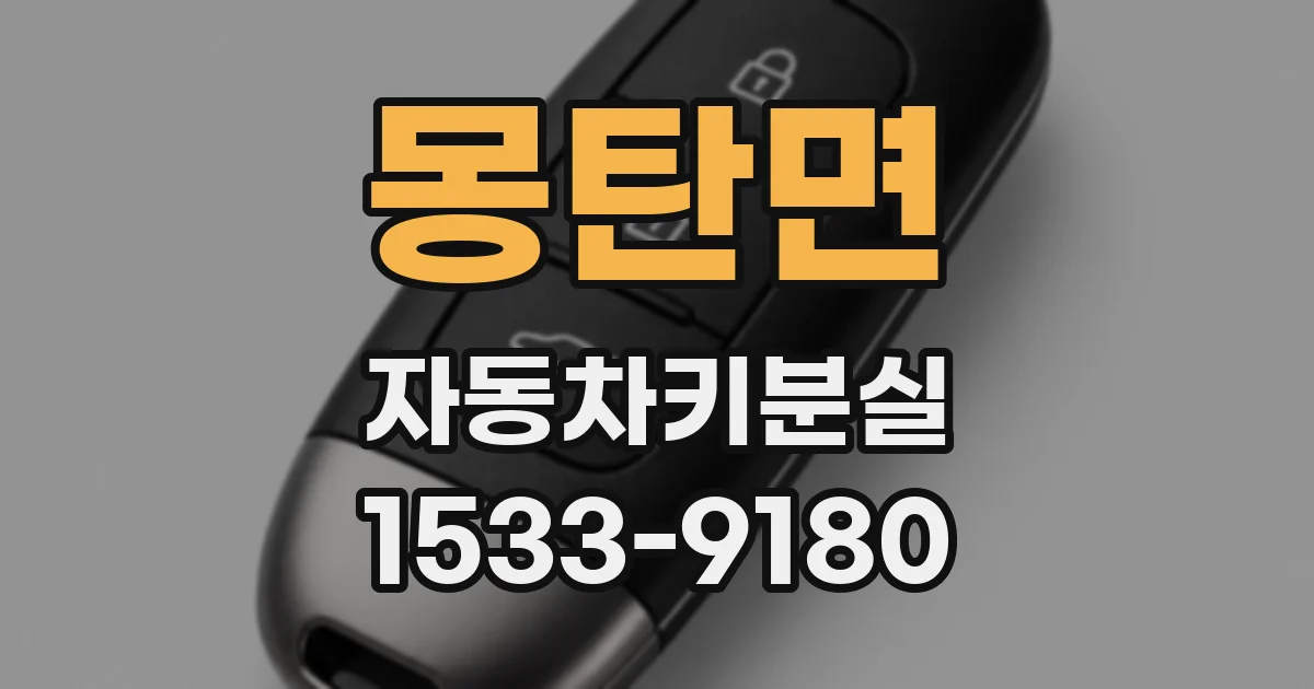 몽탄면 자동차키분실