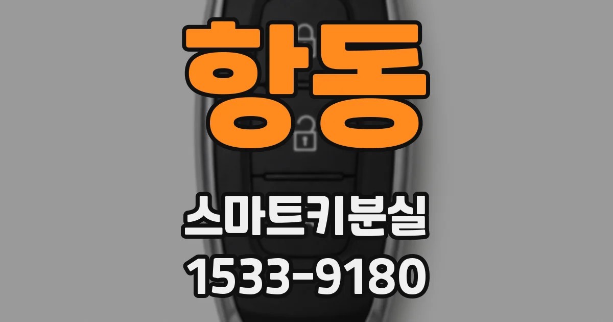 항동 스마트키분실