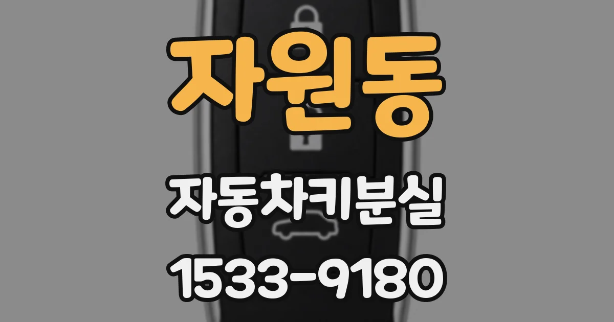 자원동 자동차키분실