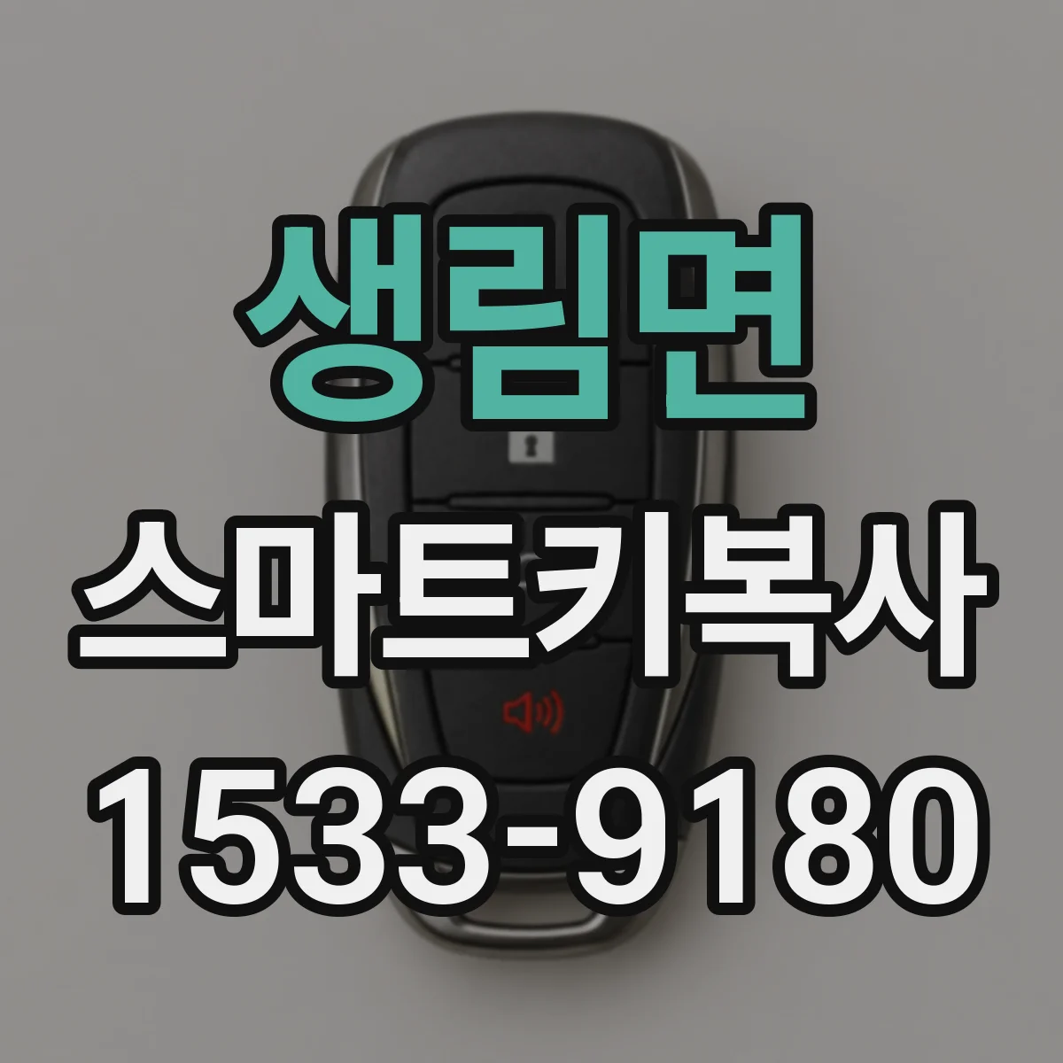생림면 스마트키복사