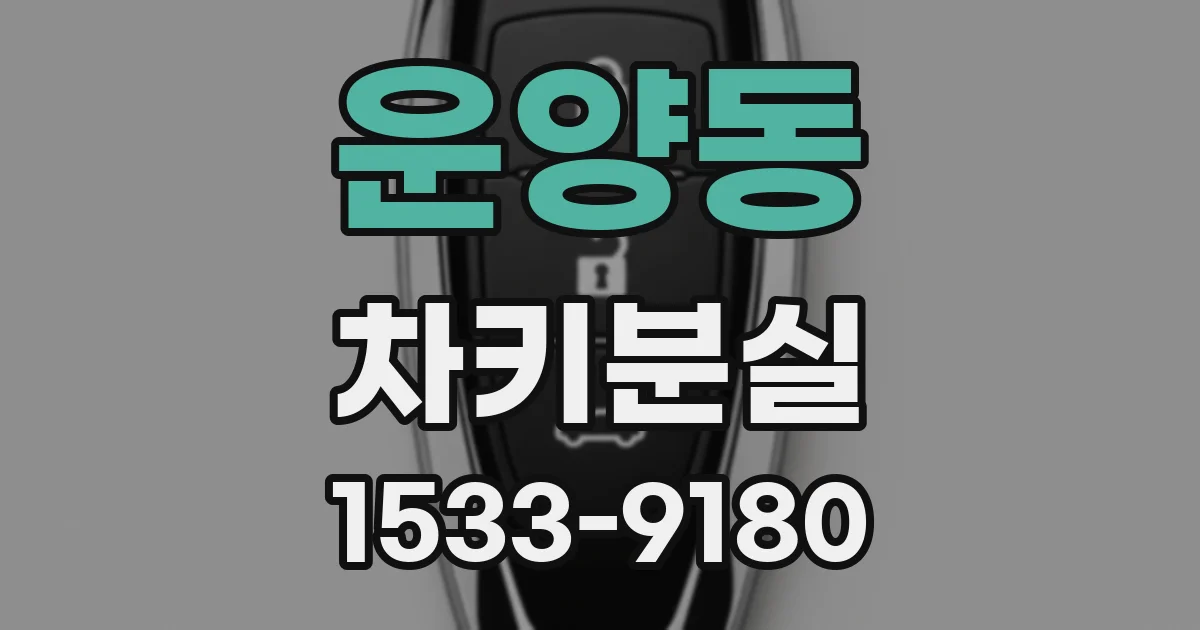 운양동 차키분실