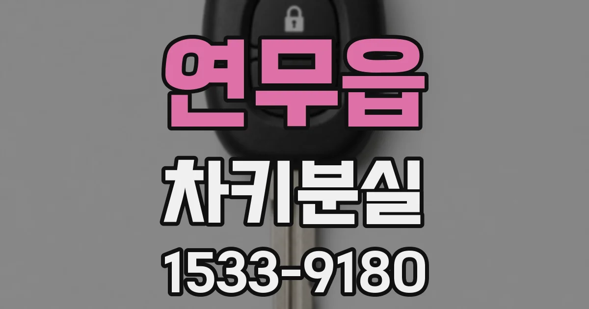 연무읍 차키분실