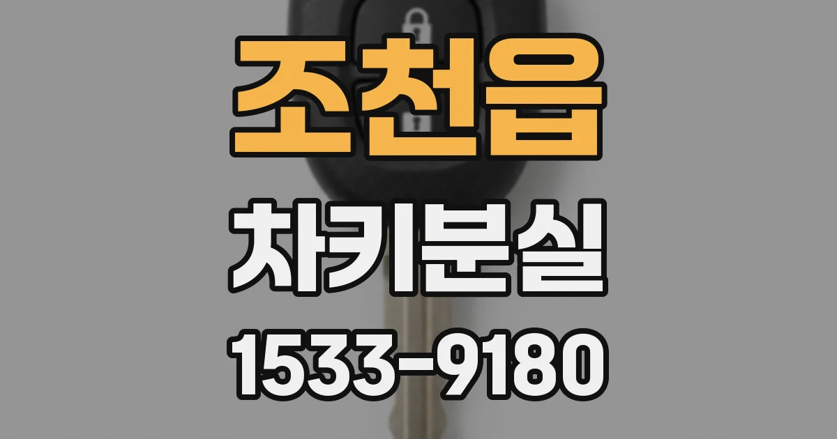 조천읍 차키분실