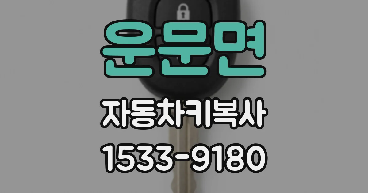 운문면 자동차키복사