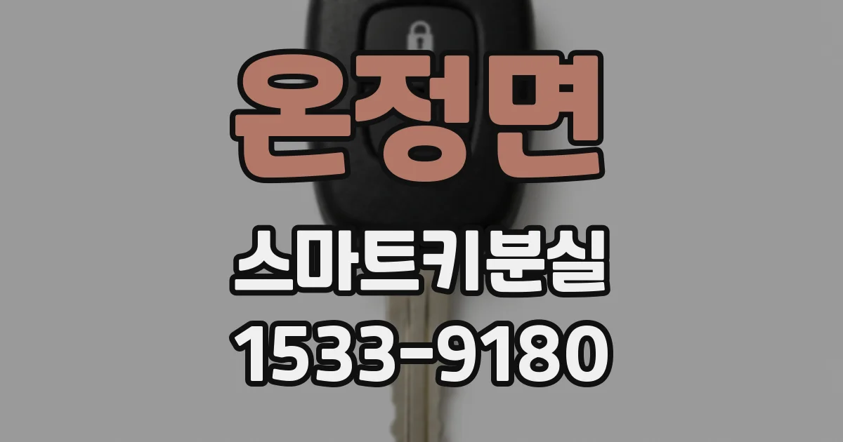 온정면 스마트키분실