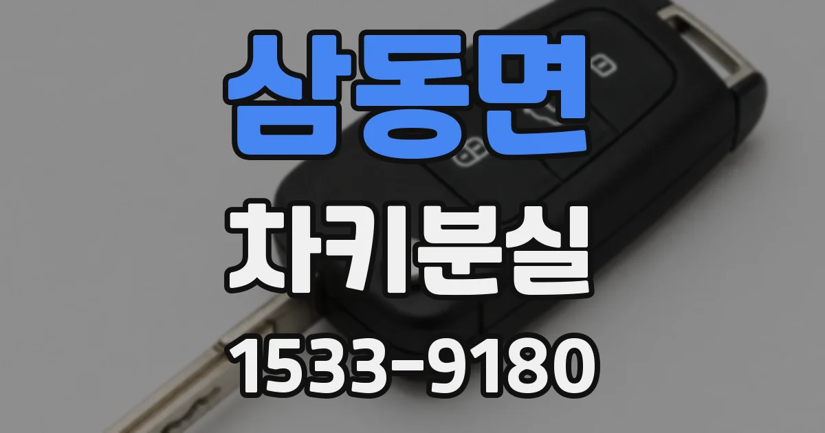 삼동면 차키분실