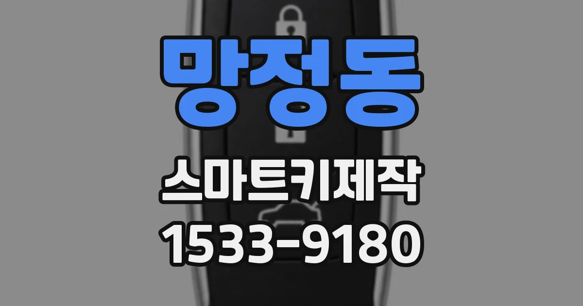 망정동 스마트키제작